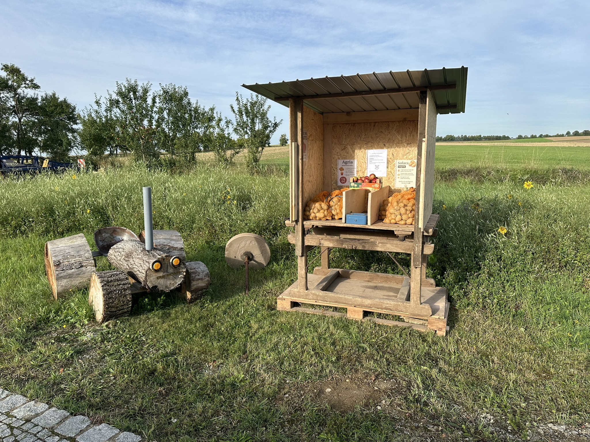 Kartoffelernte und Abpackung am Betrieb