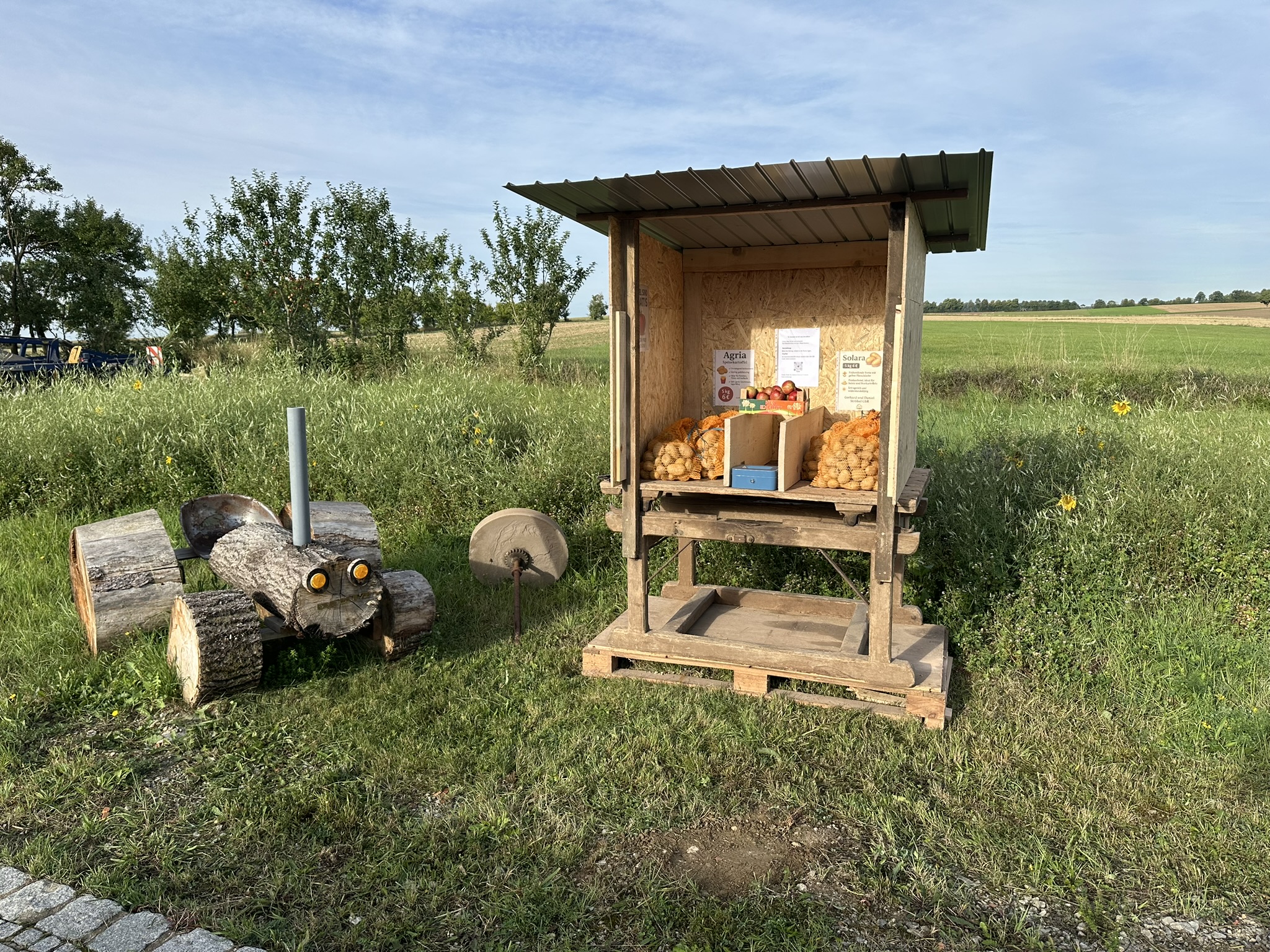 Kartoffelbestand mit Beregnung