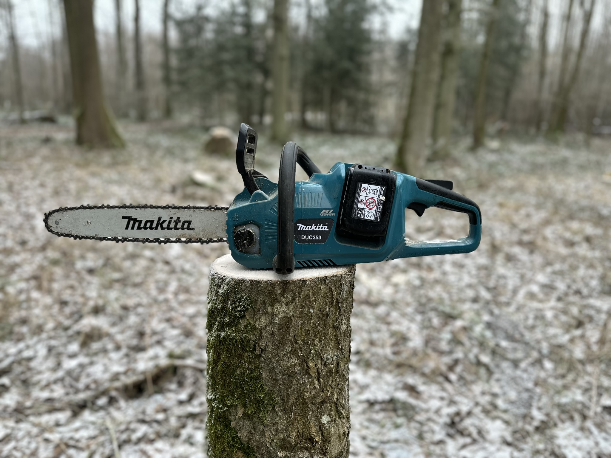 Arbeit im eigenen Wald
